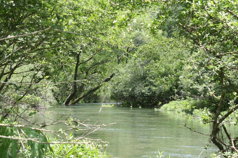 f0181821_16295244.jpg