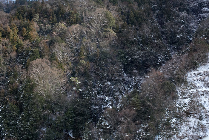 c0064025_23391549.jpg