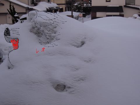 e0147226_1174792.jpg