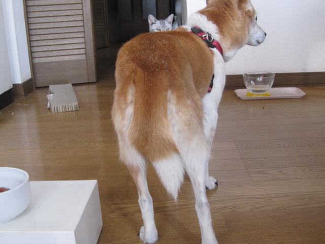 e0191826_23403829.jpg