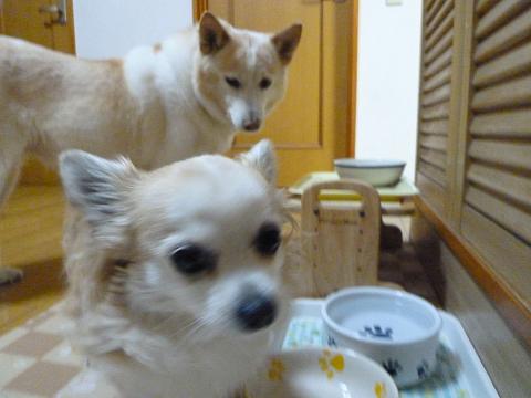b0138430_10301480.jpg