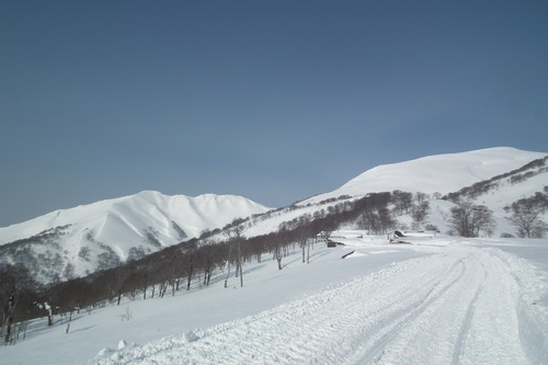 f0118332_23275985.jpg