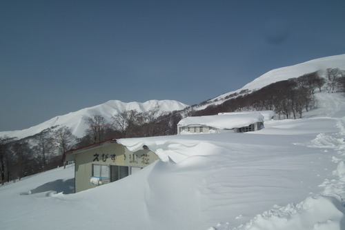 f0118332_23293938.jpg