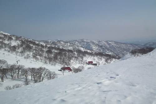 f0118332_2330337.jpg