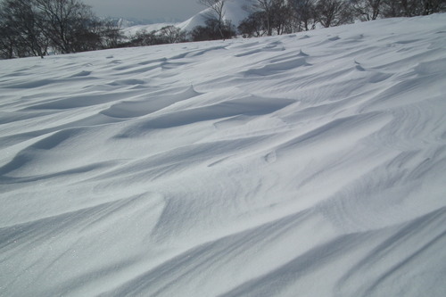 f0118332_23304077.jpg