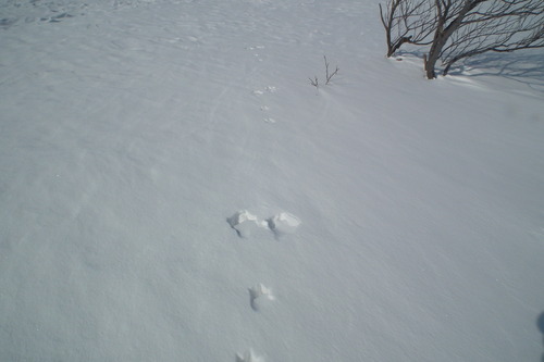 f0118332_233129.jpg