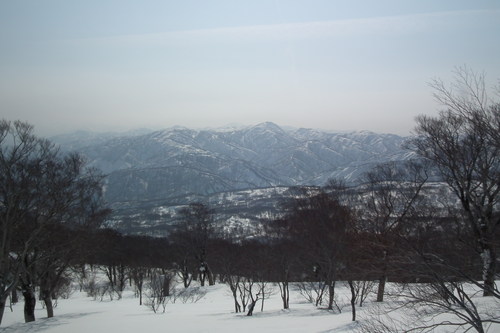 f0118332_23351551.jpg