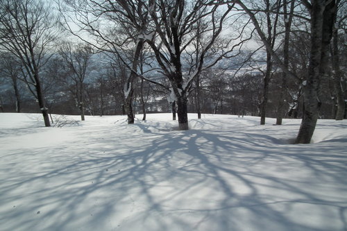 f0118332_23373380.jpg