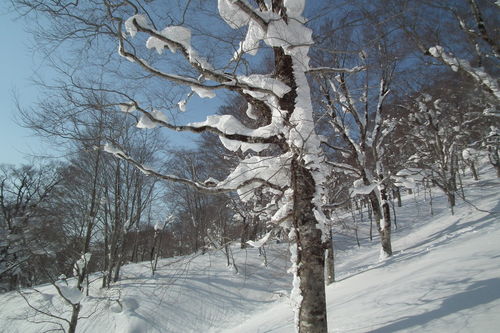 f0118332_23375439.jpg
