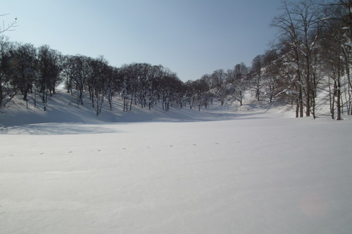 f0118332_23393991.jpg