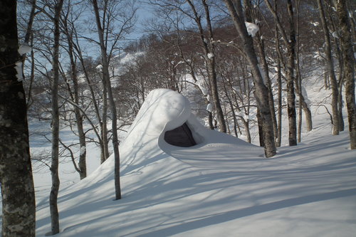 f0118332_2340371.jpg