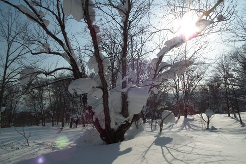 f0118332_23413811.jpg