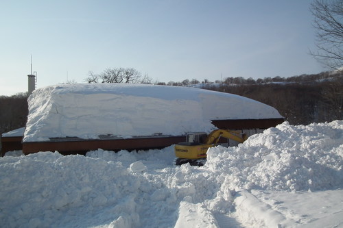 f0118332_23433152.jpg