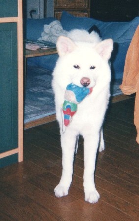 e0198839_10465730.jpg