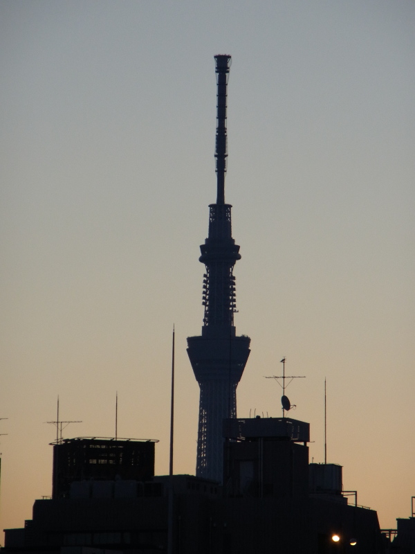 b0190242_17364579.jpg