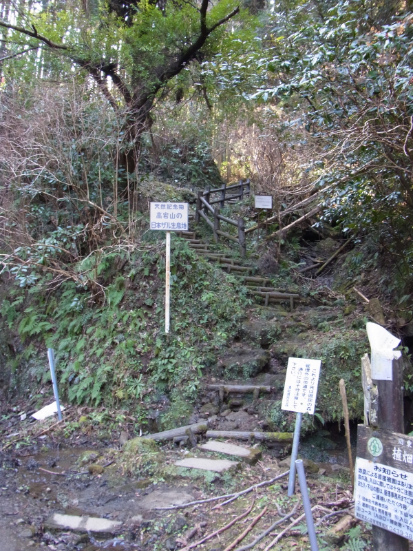 b0190242_17422213.jpg