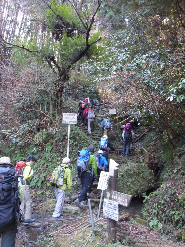 b0190242_1743735.jpg