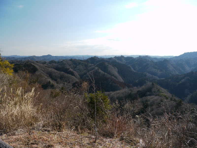 b0190242_17445933.jpg