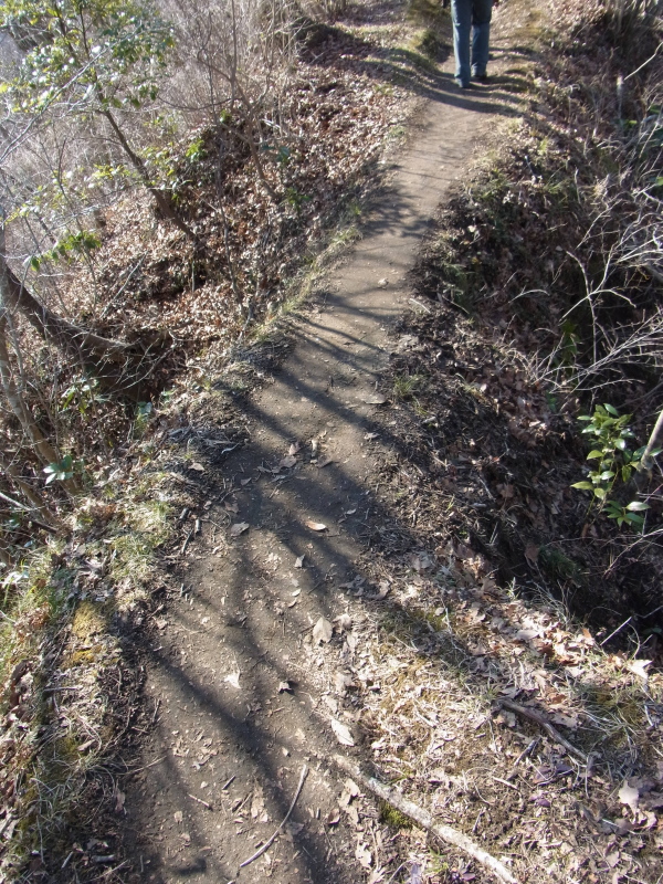 b0190242_1746667.jpg