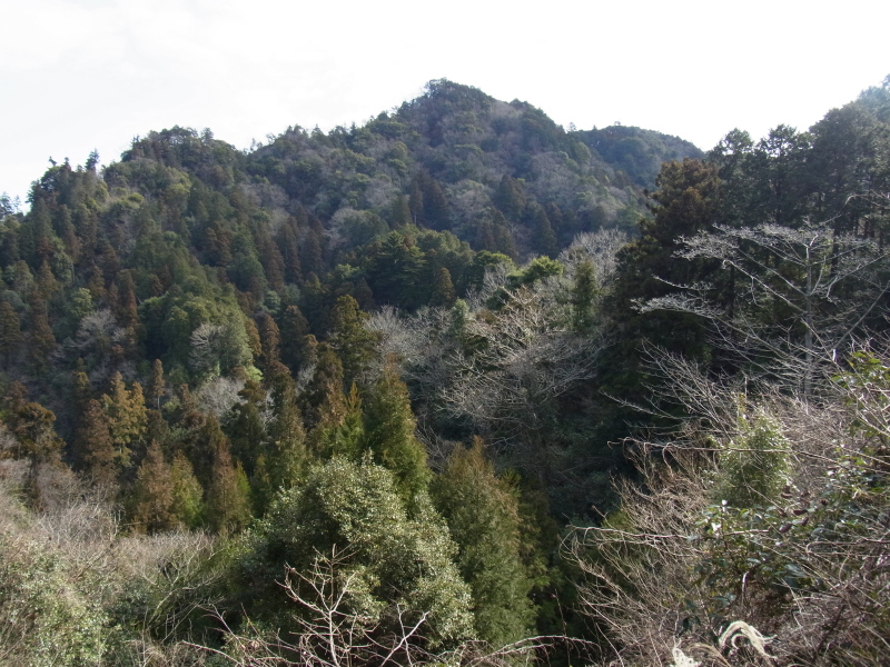 b0190242_17472646.jpg
