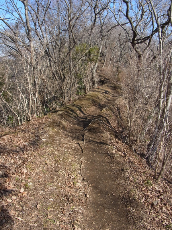 b0190242_18101250.jpg