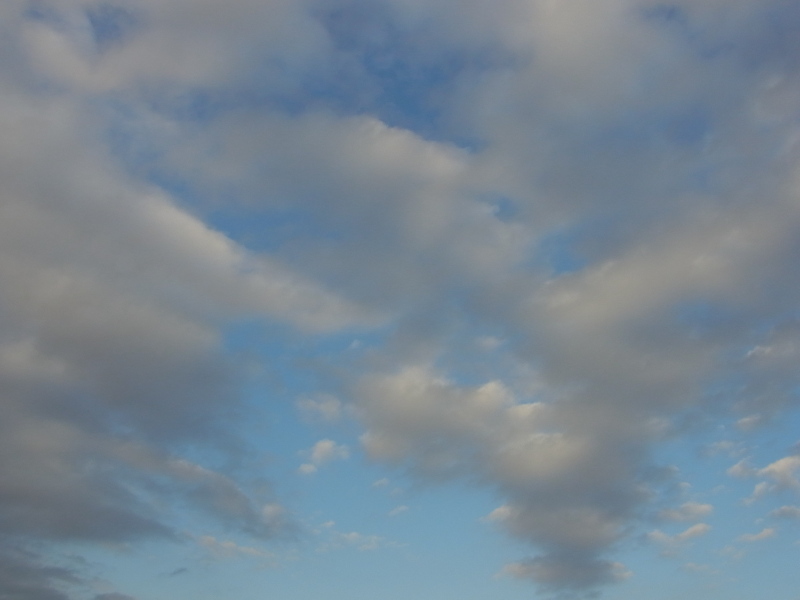 b0190242_18141452.jpg