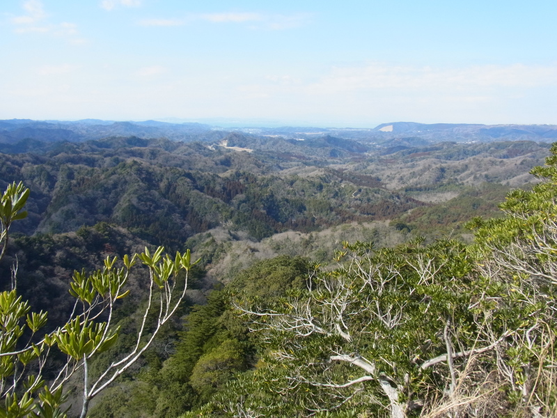 b0190242_1823411.jpg
