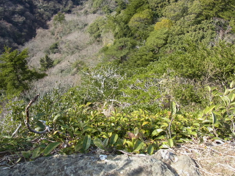 b0190242_1832159.jpg