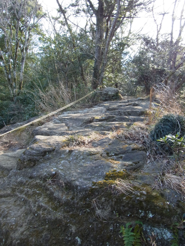b0190242_184460.jpg
