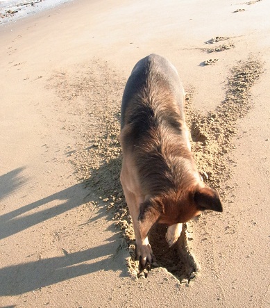 c0107144_200873.jpg