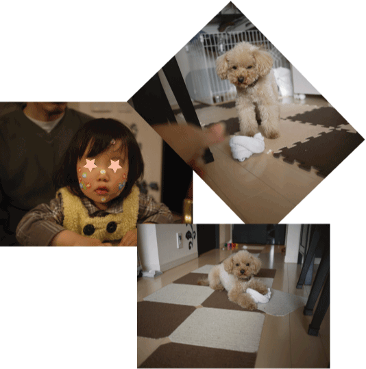 b0182846_16453245.gif