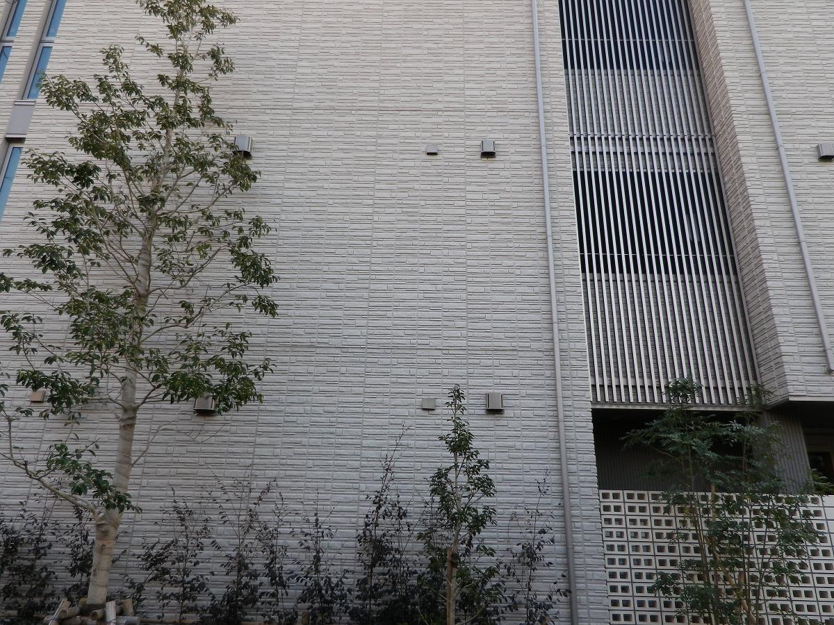 a0063552_8333121.jpg