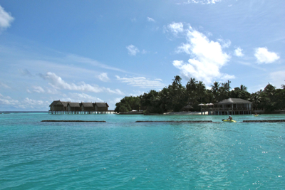 f0190653_1249288.jpg
