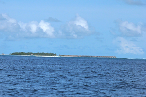 f0190653_12493864.jpg