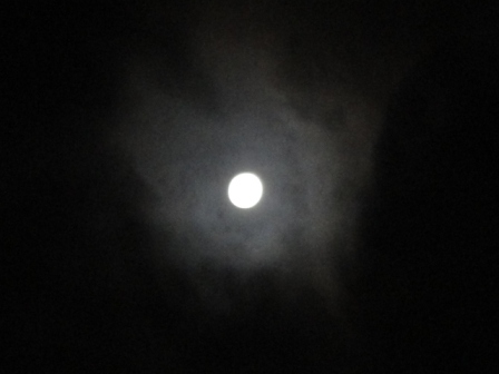 d0109373_8563530.jpg