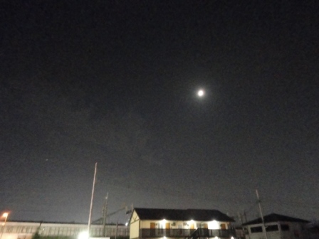 d0109373_9184261.jpg