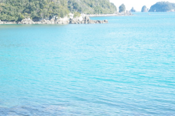 f0054677_11461988.jpg