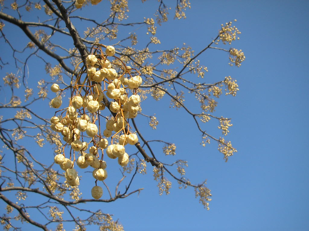a0250578_215677.jpg