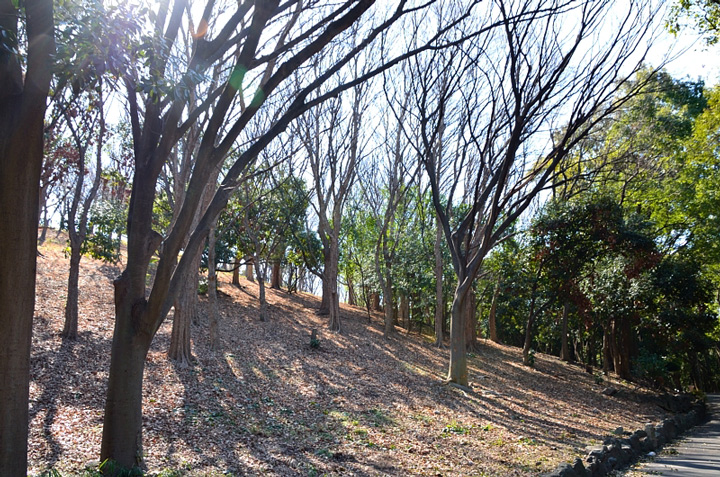 f0108478_1848264.jpg