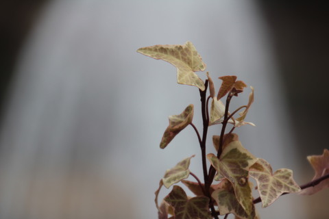 e0024081_14493737.jpg