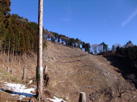 a0043982_18184560.jpg