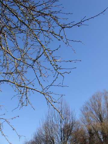 a0247585_7192853.jpg