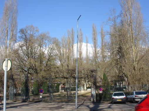 a0247585_87443.jpg
