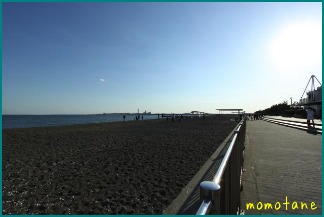 d0044986_21573468.jpg