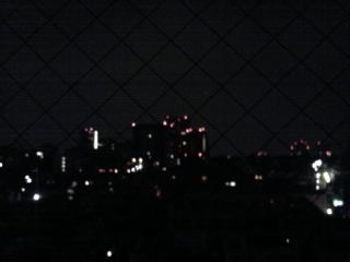 f0029393_5502723.jpg