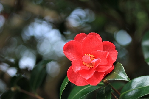 a0222494_2011536.jpg