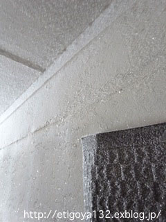 e0250594_8484152.jpg
