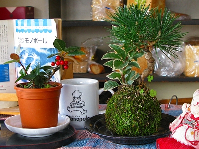f0181394_1405078.jpg