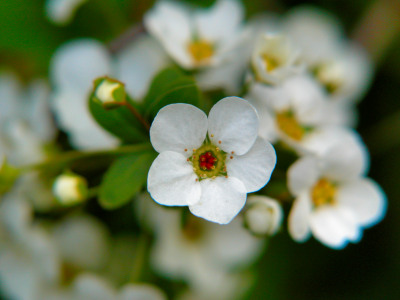 f0201297_7544821.jpg