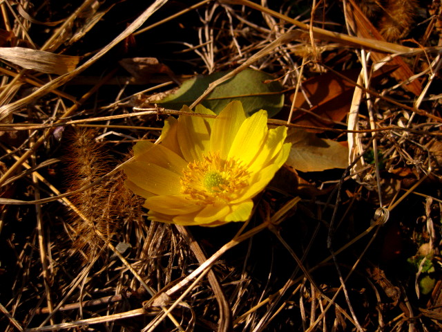 f0236201_8325748.jpg